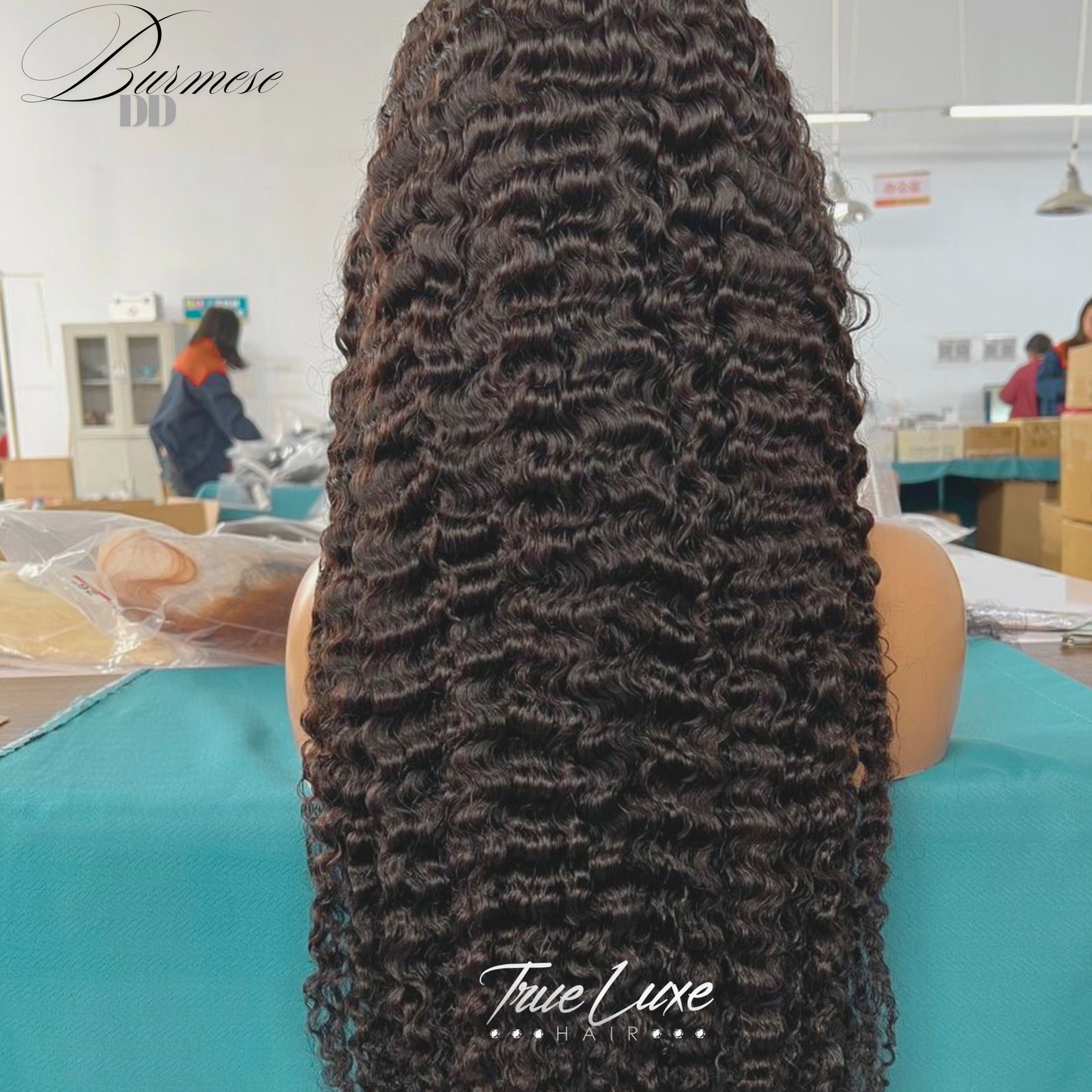 Signature HD 13x6 Wigs